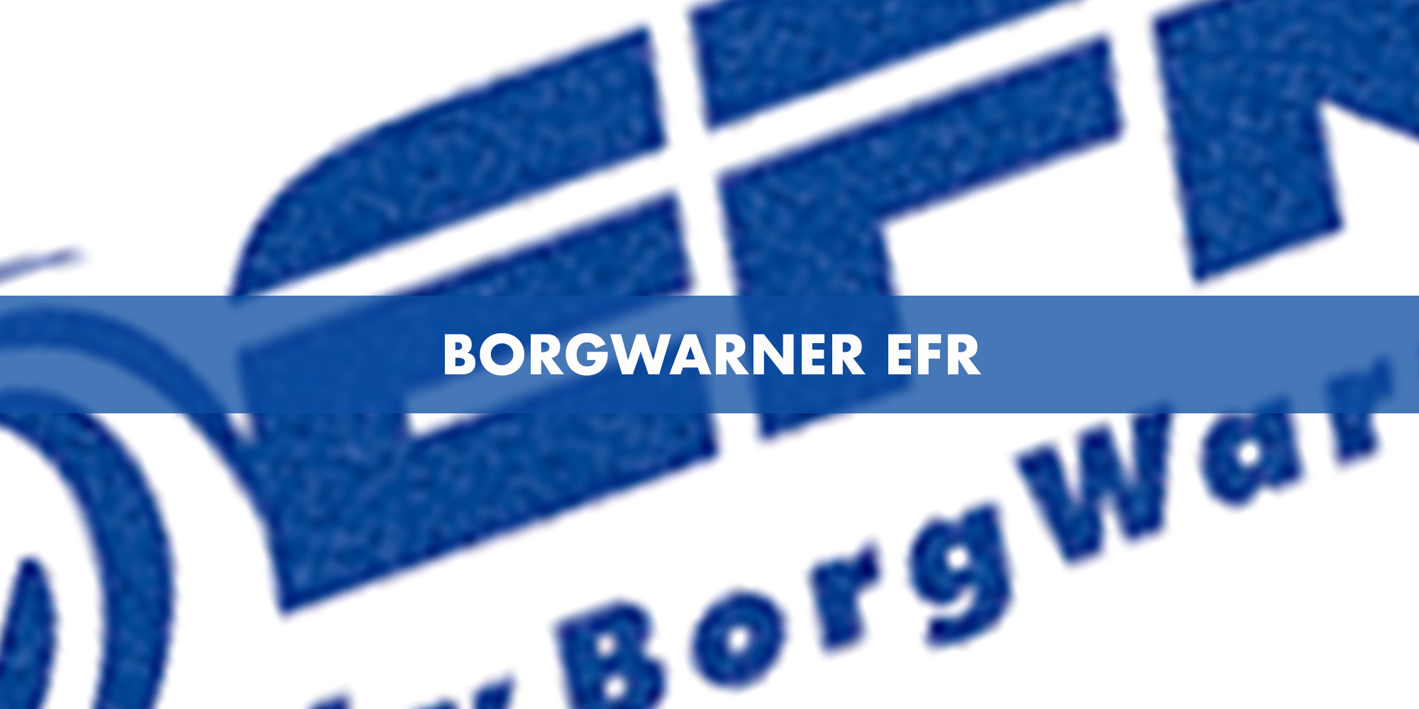 Borgwarner EFR
