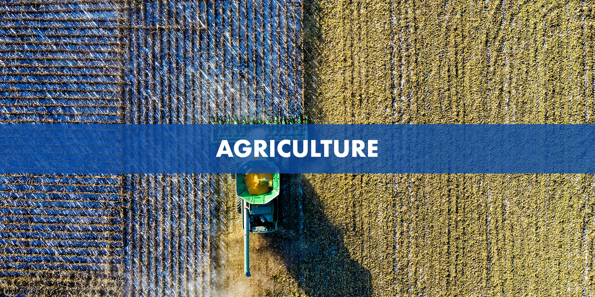 Agriculture