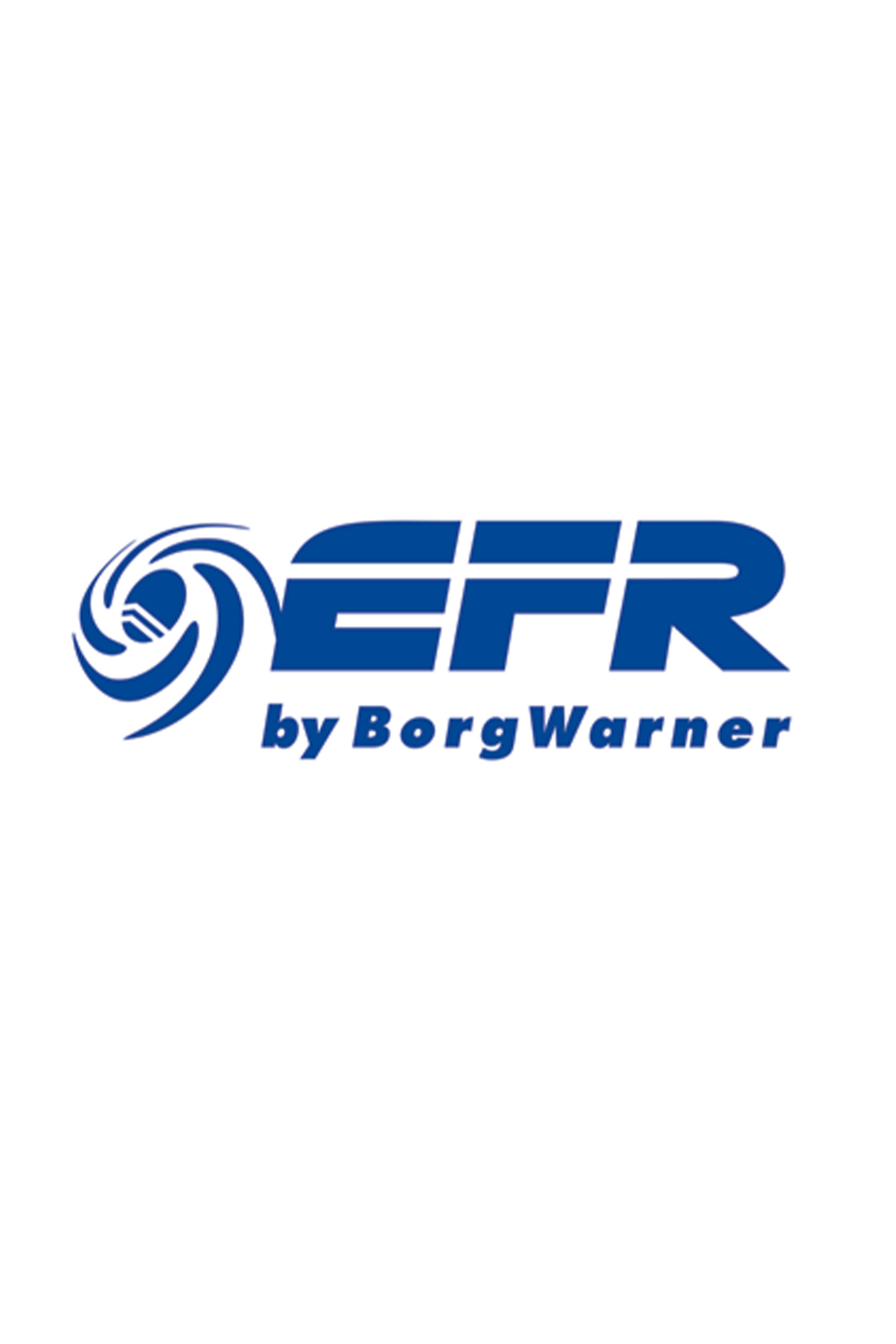 Borgwarner EFR