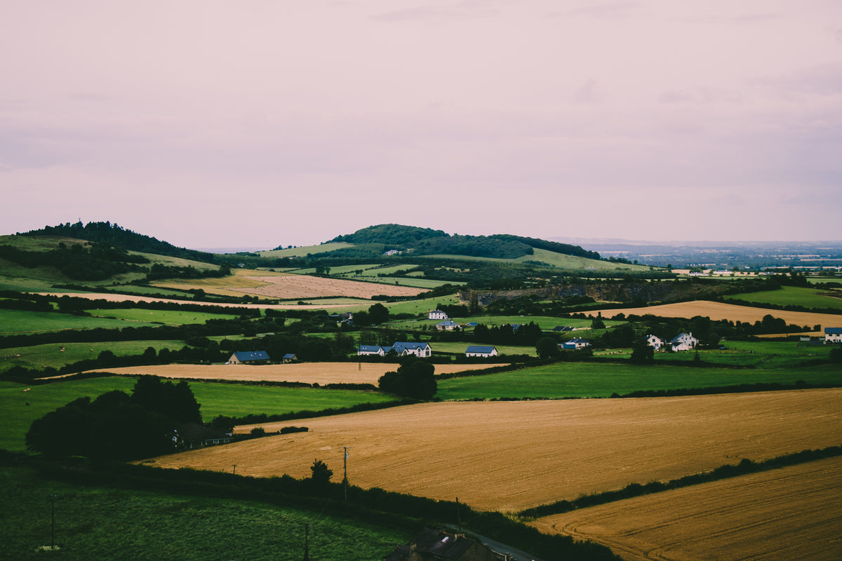 Agriculture